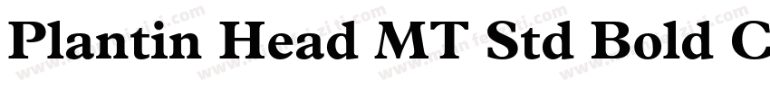 Plantin Head MT Std Bold Cn字体转换